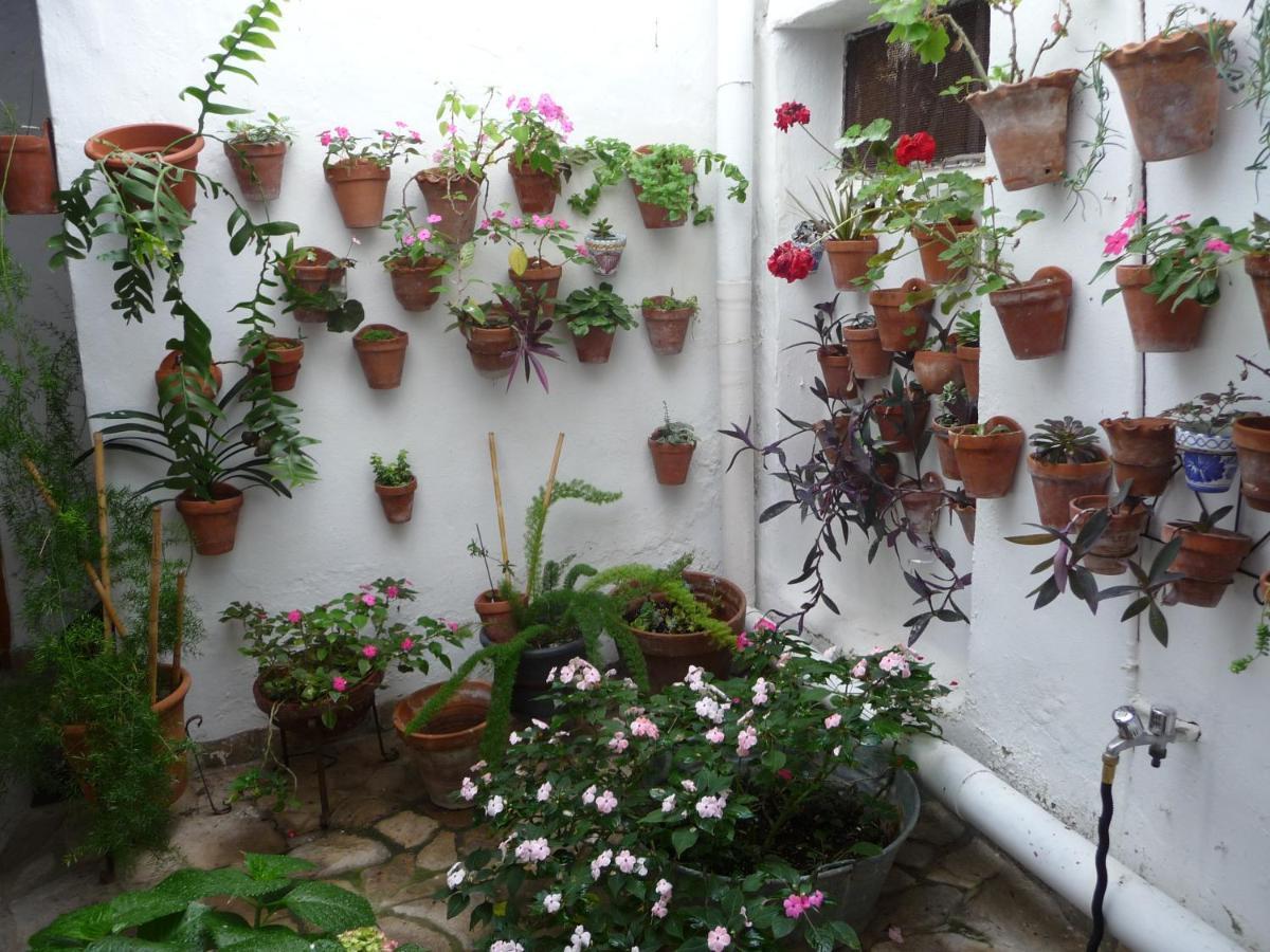 Casa Sol Villa Vejer de la Frontera Exteriör bild